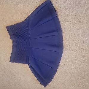 Parker Embroidered Blue Skirt